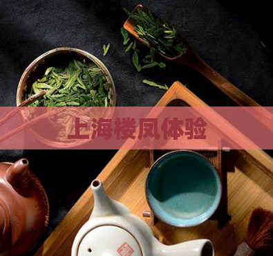 上海楼凤体验