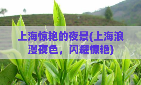 上海惊艳的夜景(上海浪漫夜色，闪耀惊艳)