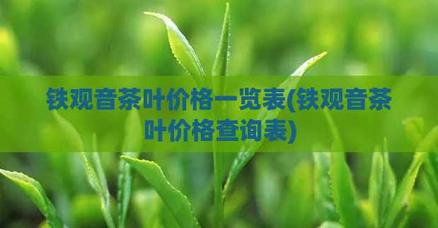 铁观音茶叶价格一览表(铁观音茶叶价格查询表)