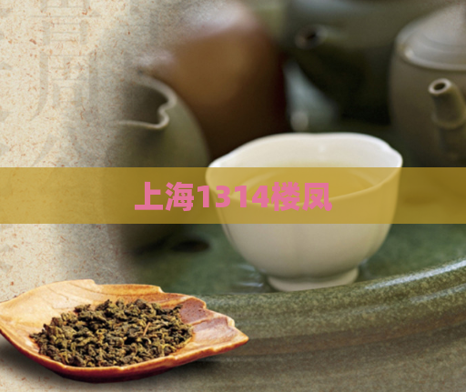 上海1314楼凤