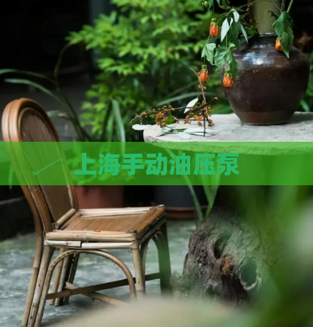 上海手动油压泵