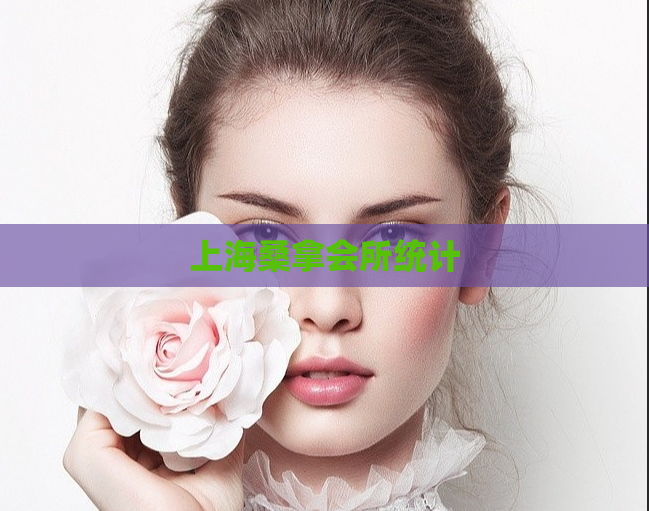 上海桑拿会所统计