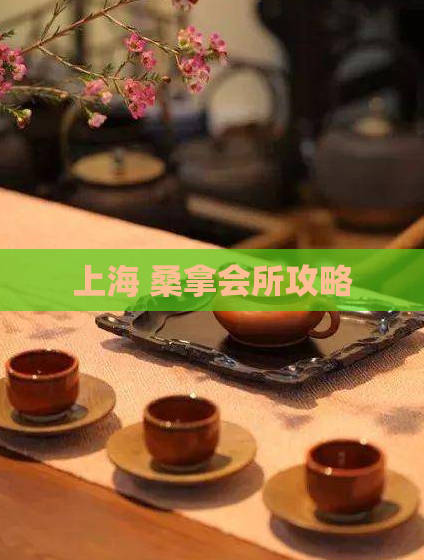 上海 桑拿会所攻略