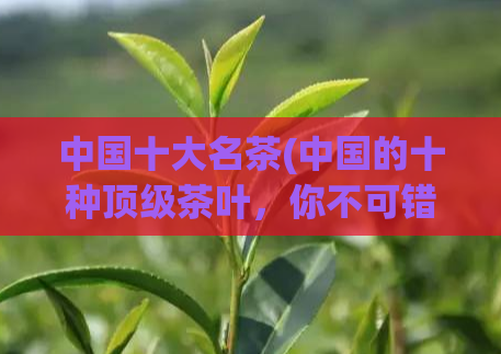中国十大名茶(中国的十种顶级茶叶，你不可错过！)