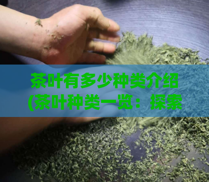 茶叶有多少种类介绍(茶叶种类一览：探索世界各地的茶叶文化)