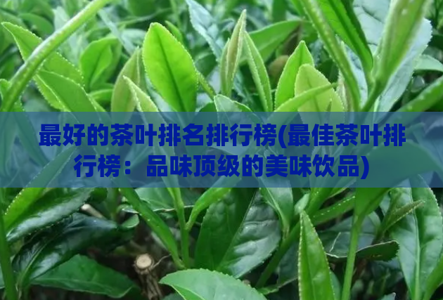 最好的茶叶排名排行榜(最佳茶叶排行榜：品味顶级的美味饮品)