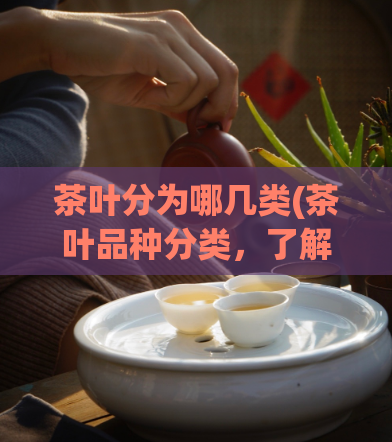 茶叶分为哪几类(茶叶品种分类，了解这些基本知识，你就是茶叶达人。)