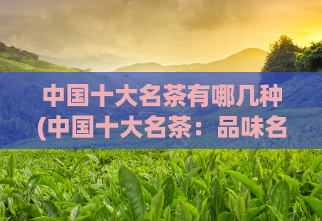 中国十大名茶有哪几种(中国十大名茶：品味名茶文化的精髓)