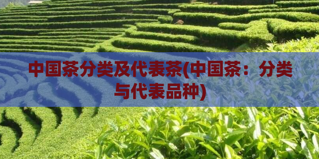 中国茶分类及代表茶(中国茶：分类与代表品种)