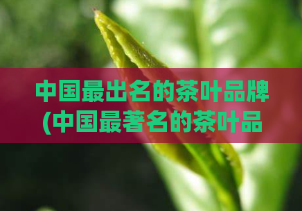 中国最出名的茶叶品牌(中国最著名的茶叶品牌介绍)