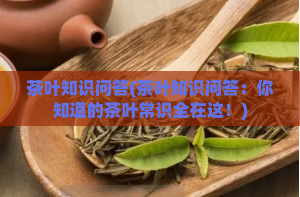 茶叶知识问答(茶叶知识问答：你知道的茶叶常识全在这！)