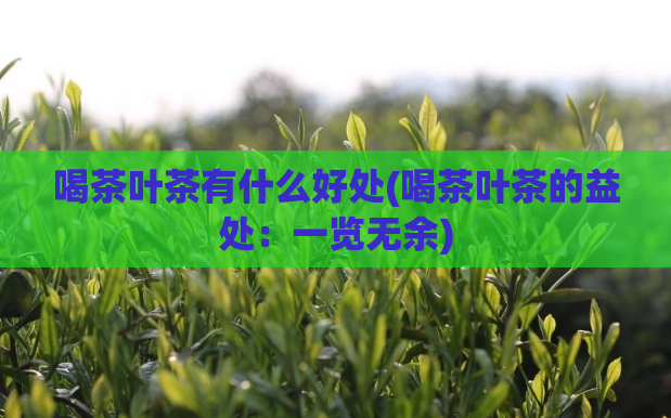 喝茶叶茶有什么好处(喝茶叶茶的益处：一览无余)