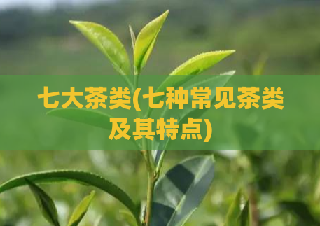 七大茶类(七种常见茶类及其特点)