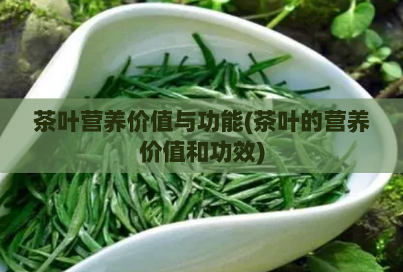 茶叶营养价值与功能(茶叶的营养价值和功效)