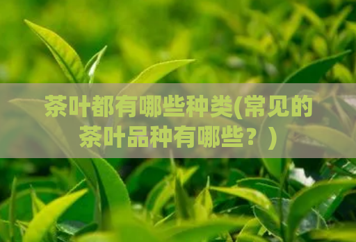 茶叶都有哪些种类(常见的茶叶品种有哪些？)