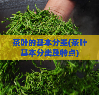茶叶的基本分类(茶叶基本分类及特点)
