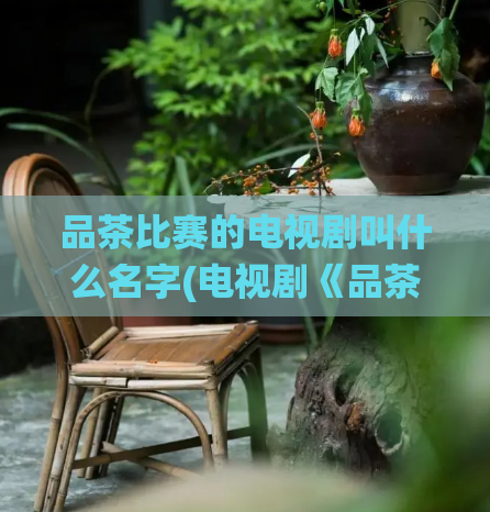 品茶比赛的电视剧叫什么名字(电视剧《品茶对决》：一场传统与现代的碰撞)