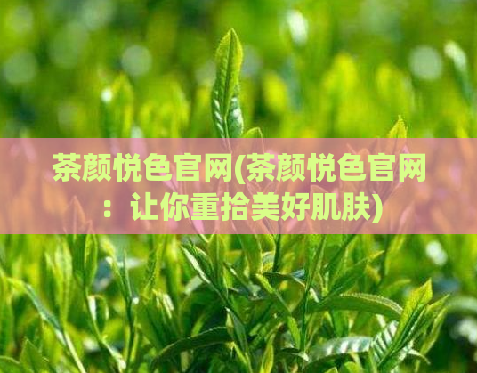 茶颜悦色官网(茶颜悦色官网：让你重拾美好肌肤)