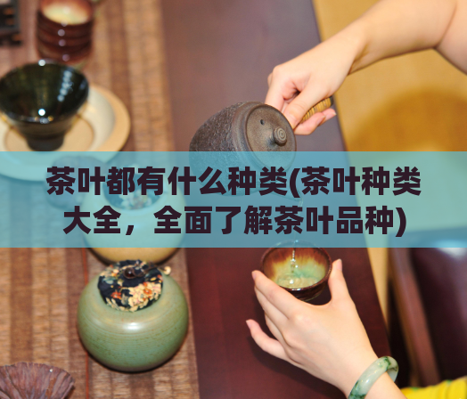 茶叶都有什么种类(茶叶种类大全，全面了解茶叶品种)
