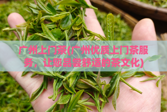 广州上门茶(广州优质上门茶服务,让您品尝舒适的茶文化)