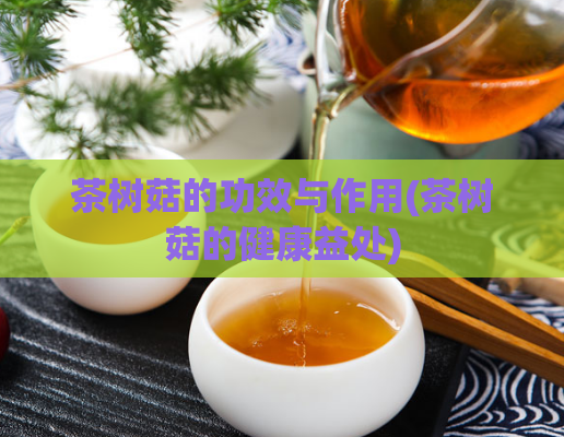 茶树菇的功效与作用(茶树菇的健康益处)
