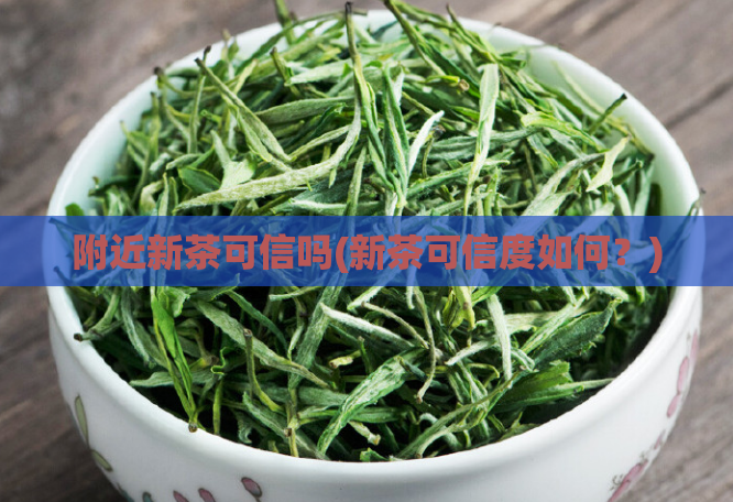 附近新茶可信吗(新茶可信度如何?)
