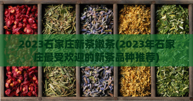 2023石家庄新茶嫩茶(2023年石家庄最受欢迎的新茶品种推荐)