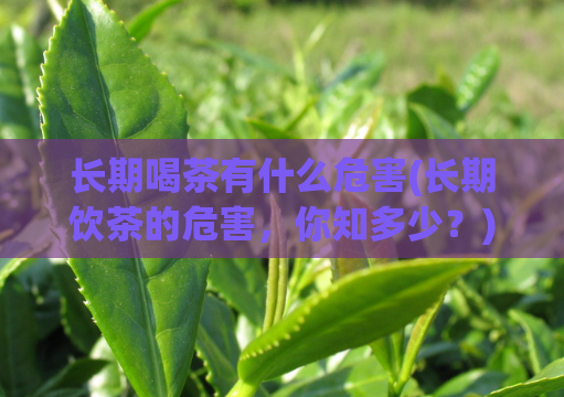 长期喝茶有什么危害(长期饮茶的危害，你知多少？)