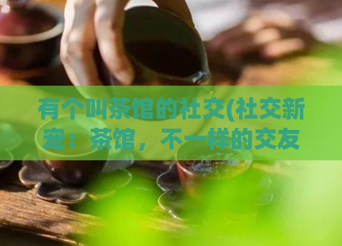 有个叫茶馆的社交(社交新宠：茶馆，不一样的交友方式)
