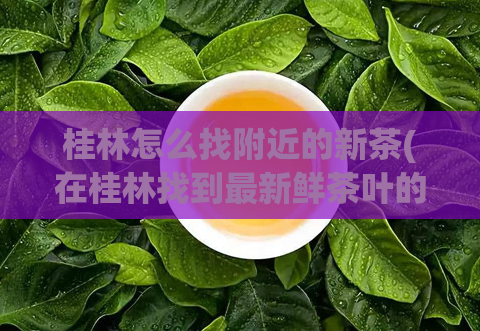 桂林怎么找附近的新茶(在桂林找到最新鲜茶叶的秘诀)