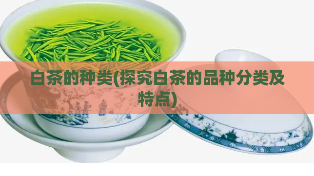 白茶的种类(探究白茶的品种分类及特点)