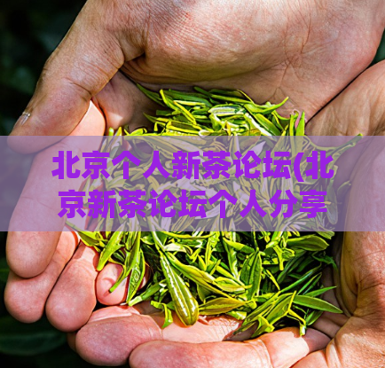 北京个人新茶论坛(北京新茶论坛个人分享，美味新茶尽在其中)
