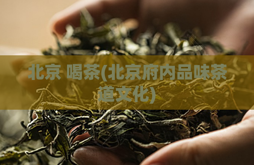 北京 喝茶(北京府内品味茶道文化)