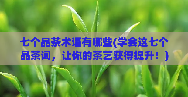 七个品茶术语有哪些(学会这七个品茶词，让你的茶艺获得提升！)
