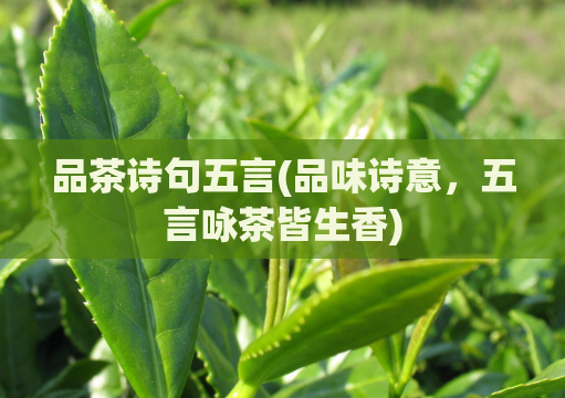 品茶诗句五言(品味诗意，五言咏茶皆生香)