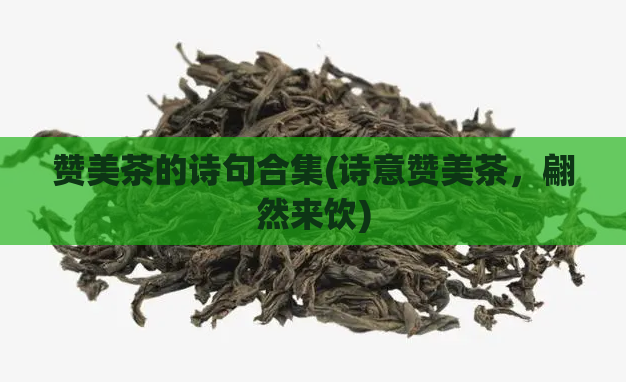赞美茶的诗句合集(诗意赞美茶,翩然来饮)