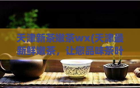 天津新茶嫩茶wx(天津最新鲜嫩茶，让您品味茶叶的芳香和滋味)