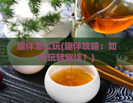 趣伴怎么玩(趣伴攻略：如何玩转趣伴？)