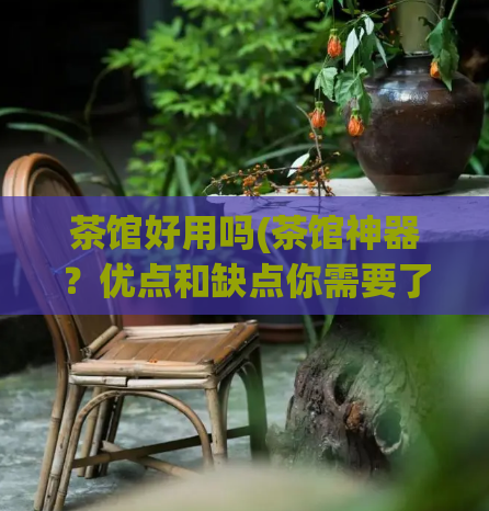 茶馆好用吗(茶馆神器？优点和缺点你需要了解！)