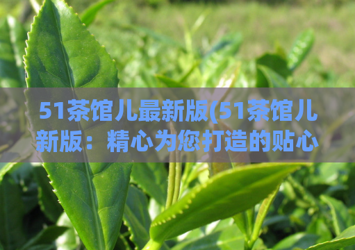 51茶馆儿最新版(51茶馆儿新版：精心为您打造的贴心茶馆)