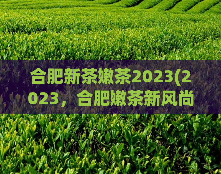 合肥新茶嫩茶2023(2023，合肥嫩茶新风尚)
