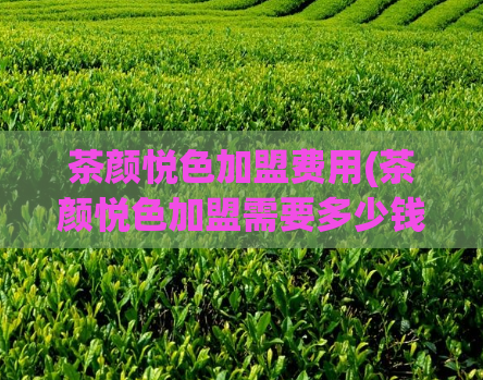 茶颜悦色加盟费用(茶颜悦色加盟需要多少钱?)