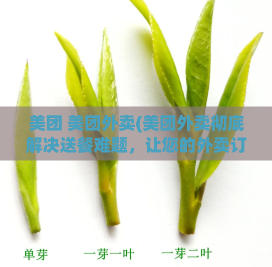 美团 美团外卖(美团外卖彻底解决送餐难题，让您的外卖订单更快更准！)