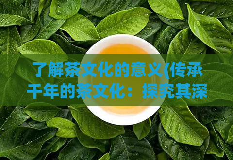 了解茶文化的意义(传承千年的茶文化：探究其深远意义)