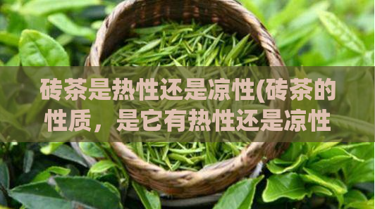 砖茶是热性还是凉性(砖茶的性质，是它有热性还是凉性？)