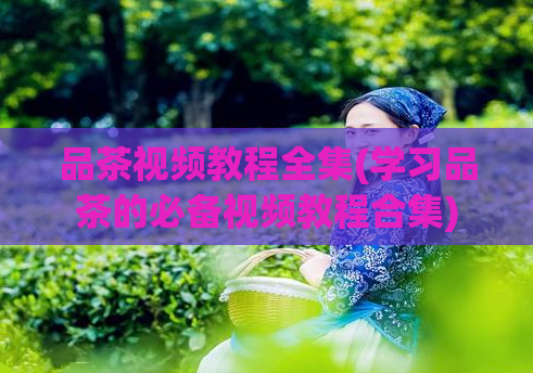 品茶视频教程全集(学习品茶的必备视频教程合集)