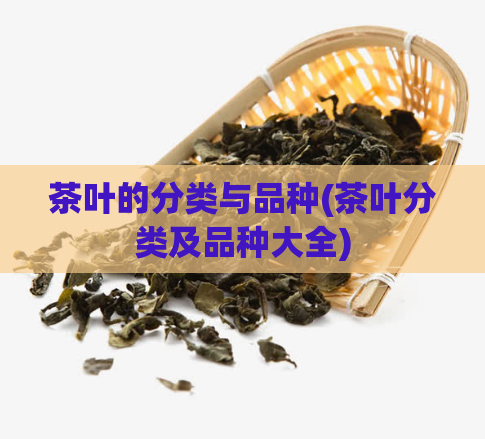 茶叶的分类与品种(茶叶分类及品种大全)
