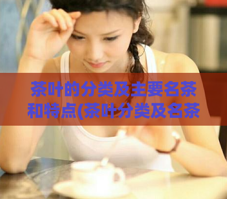 茶叶的分类及主要名茶和特点(茶叶分类及名茶特点简介)