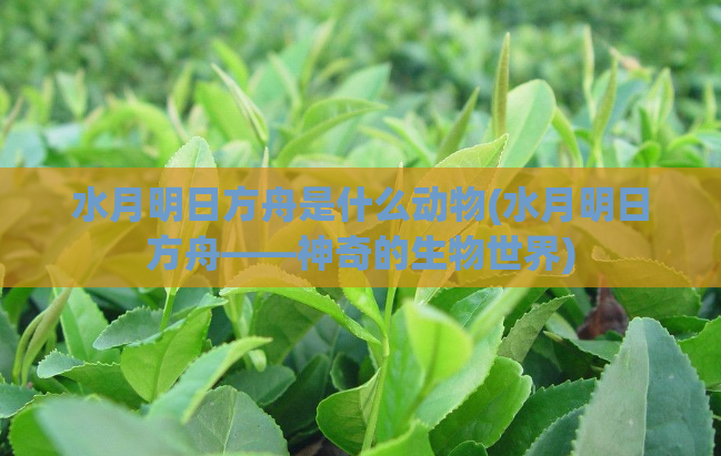 水月明日方舟是什么动物(水月明日方舟——神奇的生物世界)