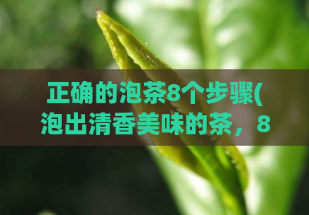 正确的泡茶8个步骤(泡出清香美味的茶，8个步骤全掌握)